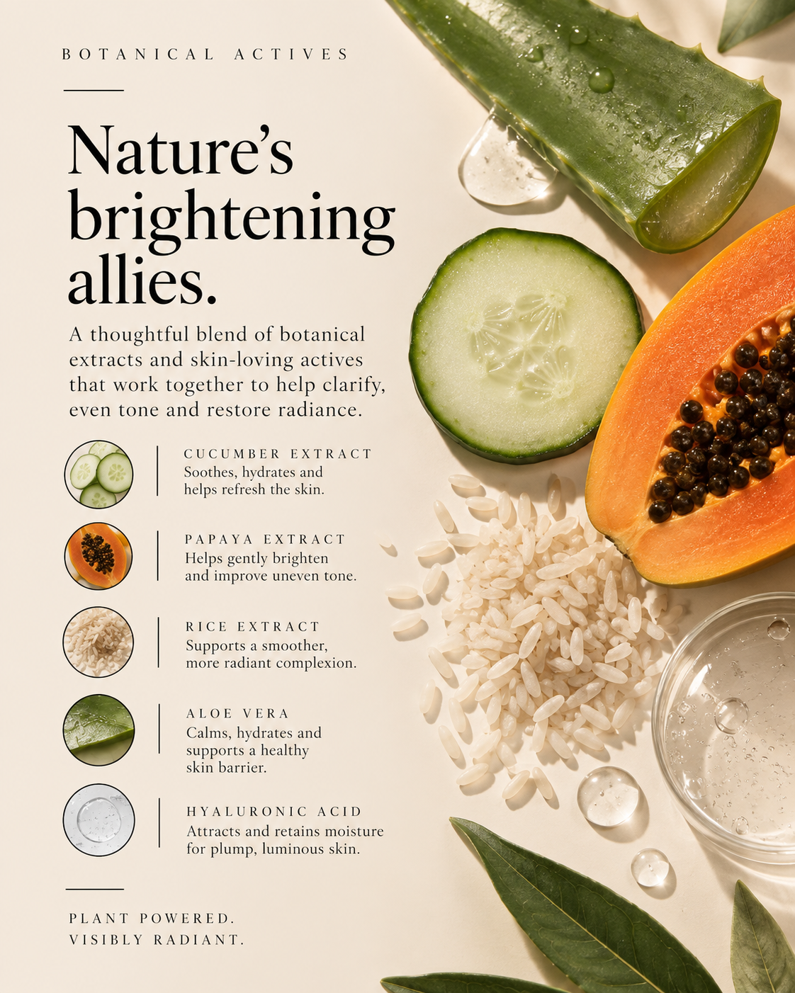 Botanical Day Serum